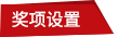 獎(jiǎng)項(xiàng)設(shè)置