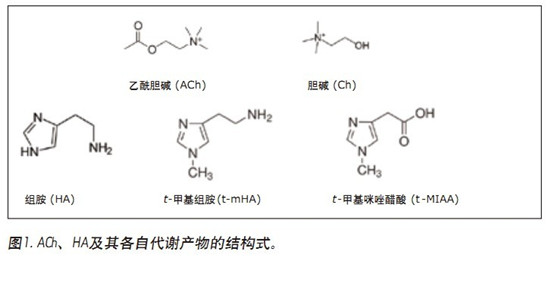 CORTECS UPLC HILICɫV_l(f)һN܉?q)XҺ(CSF)đAMxa(chn)ͬrM(jn)жUPLC/MS/MSy