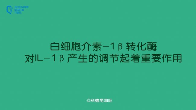 白細胞介素-1β轉化酶對IL-1β產(chǎn)生的調(diào)節(jié)起著重要作用
