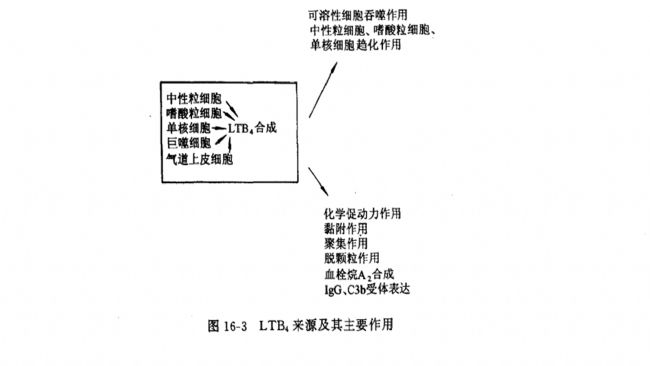 花生四烯酸的脂氧化酶代謝產(chǎn)物