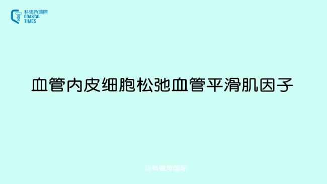 血管內(nèi)皮細(xì)胞松弛血管平滑肌因子