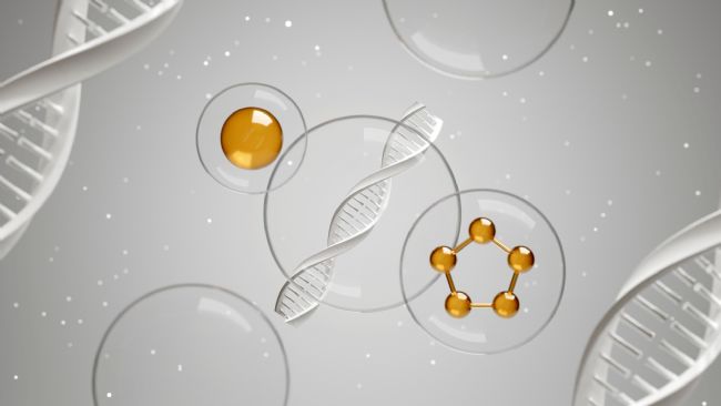 Lipid Acһ֬ڽYʲôe