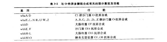 內(nèi)毒素分子的跨膜轉(zhuǎn)運(yùn)和O-特異多糖鏈合成的遺傳學(xué)研究