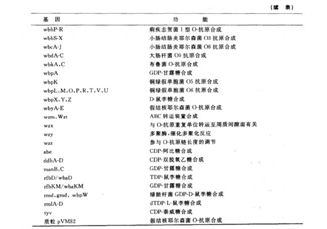 內(nèi)毒素分子的跨膜轉(zhuǎn)運(yùn)和O-特異多糖鏈合成的遺傳學(xué)研究