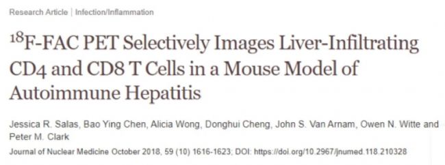 UCLAF(tun)(du)u(png)PETڸβ\е