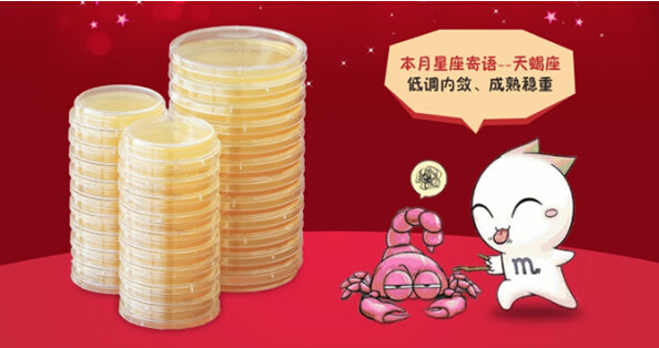 華粵瑞科“每月之星”—11月OXOID成品平板培養(yǎng)基促銷